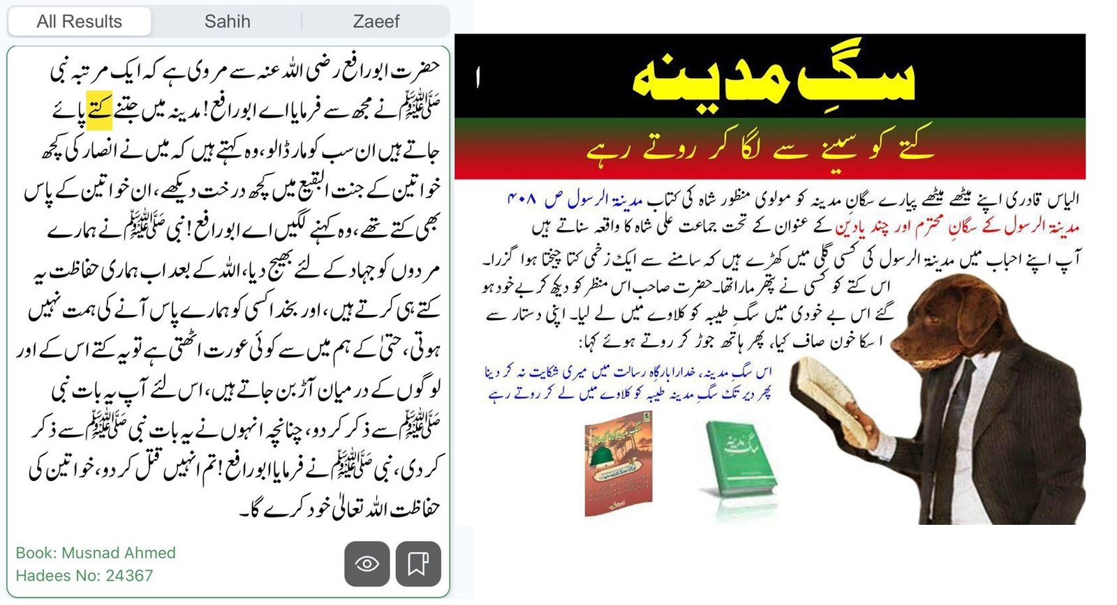 مدینے کا کتا کہنا حدث نبوی کی مخالفت